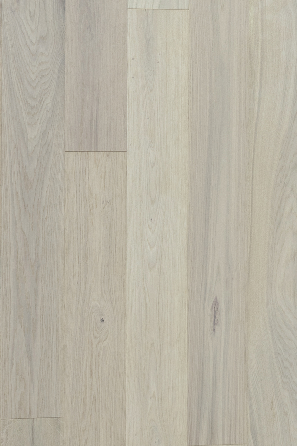 Crudo <span>European Oak Engineered Hardwood Flooring</span>