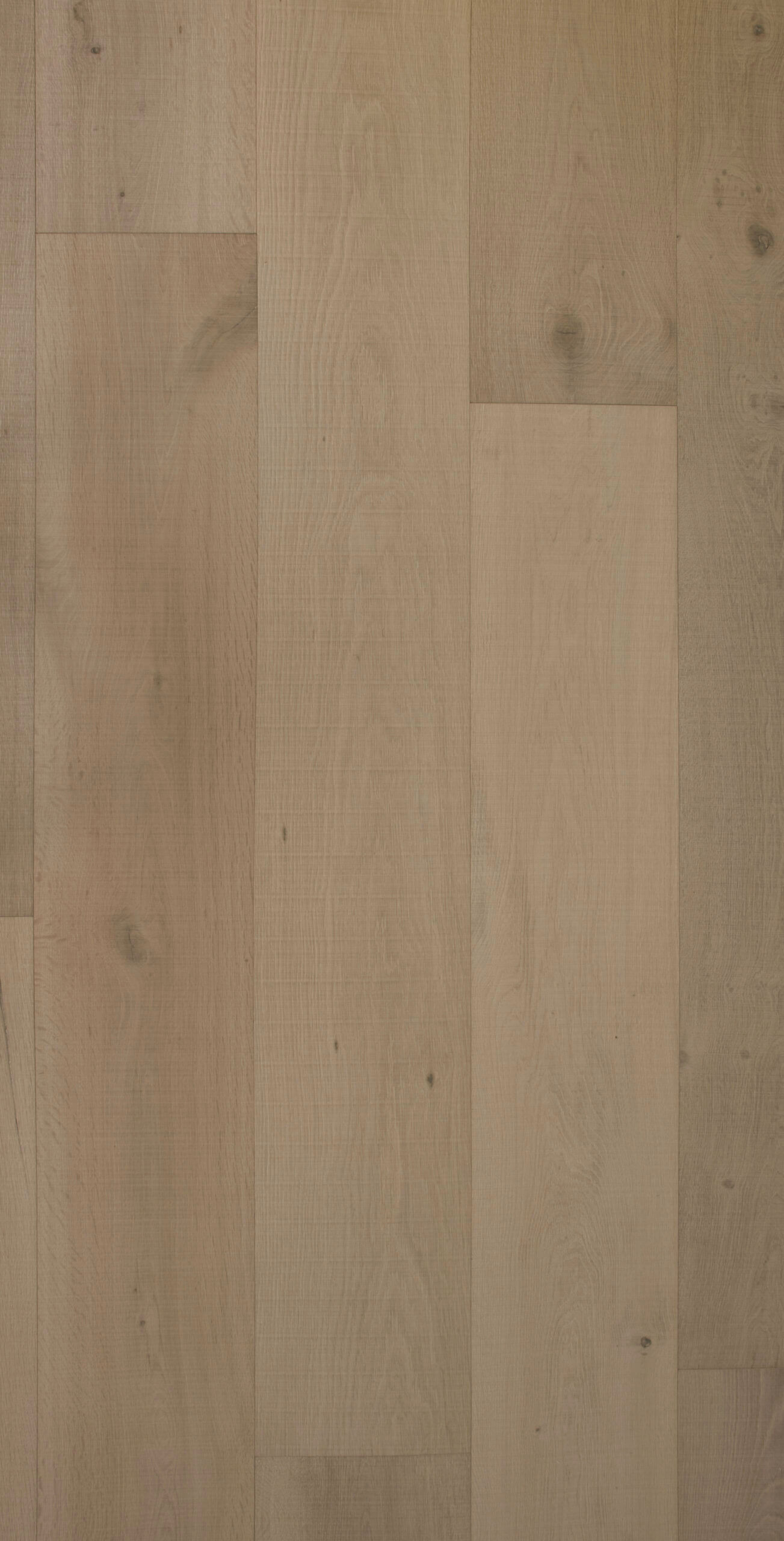 Pane <span>European Oak Engineered Hardwood Flooring</span>