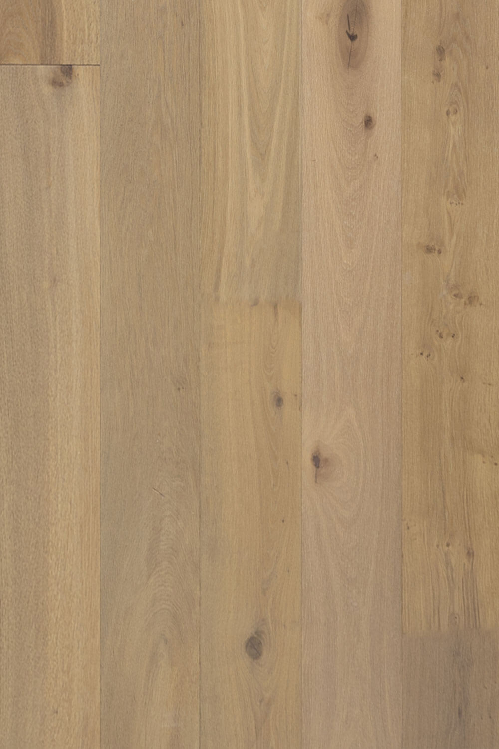 Pelle <span>European Oak Engineered Hardwood Flooring</span>