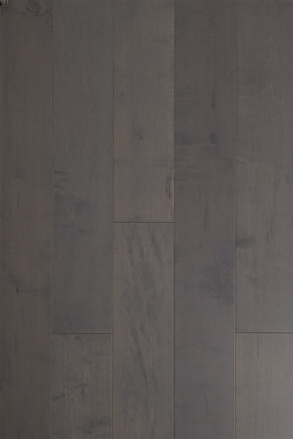 Monza <span>6-1/2″ Canadian Maple Engineered Hardwood Flooring</span>