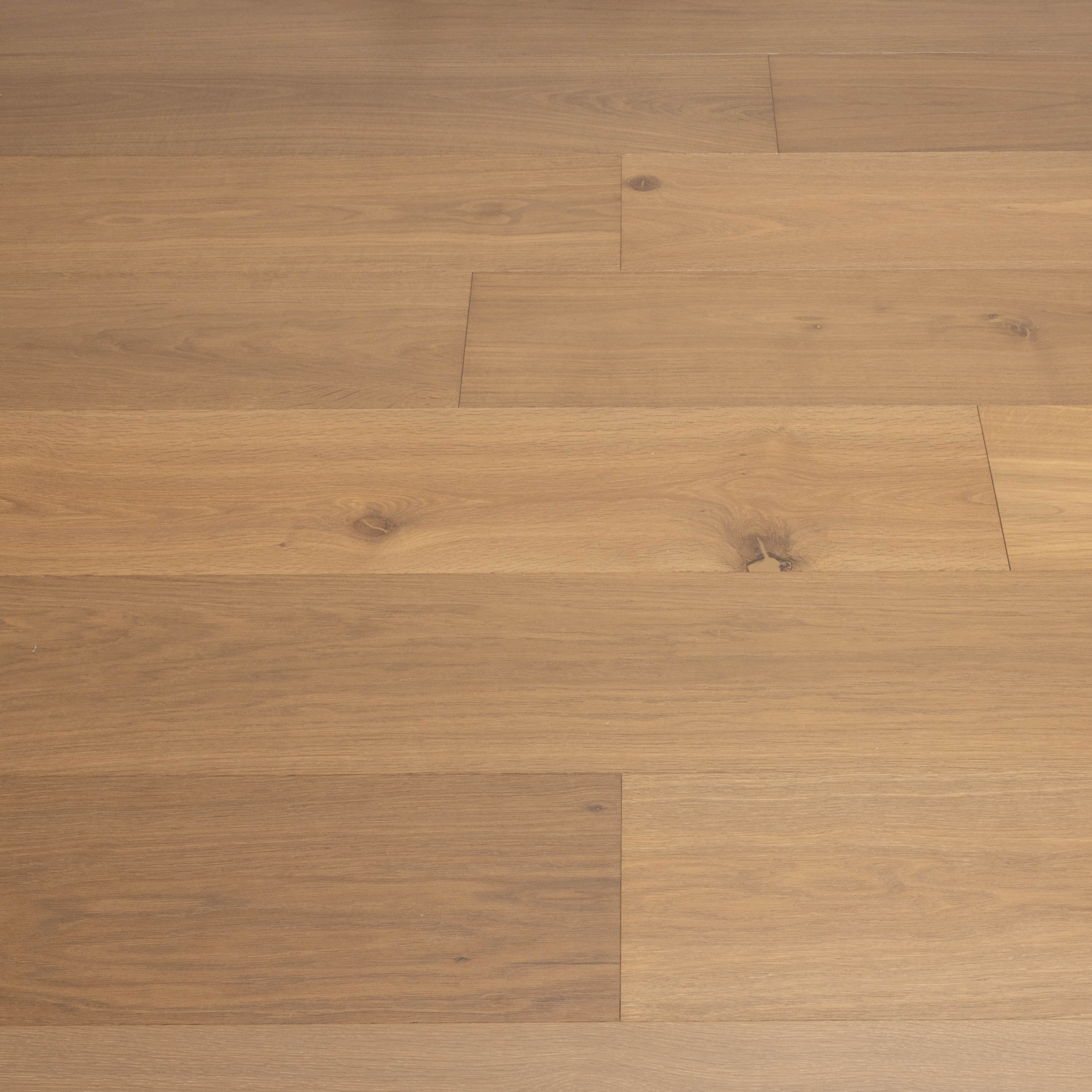 Veritas <span>9-1/2″ European Oak Engineered Hardwood Flooring</span>